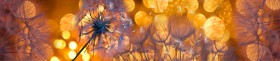 Кухонный фартук Мерцание Одуванчики золотистые 3 серебро в Иркутске - irkutsk.katalogmebeli.com | фото